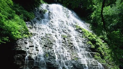 稳定性高端可靠性